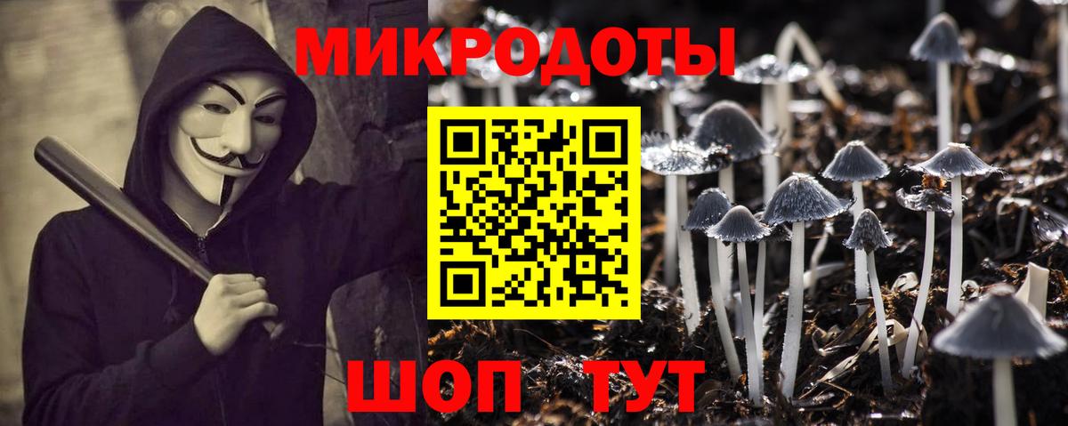 Галлюциногенные грибы Magic Shrooms Волгоград